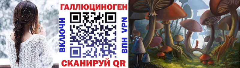 Галлюциногенные грибы MAGIC MUSHROOMS Ужур