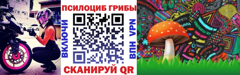 Псилоцибиновые грибы GOLDEN TEACHER  Ужур 